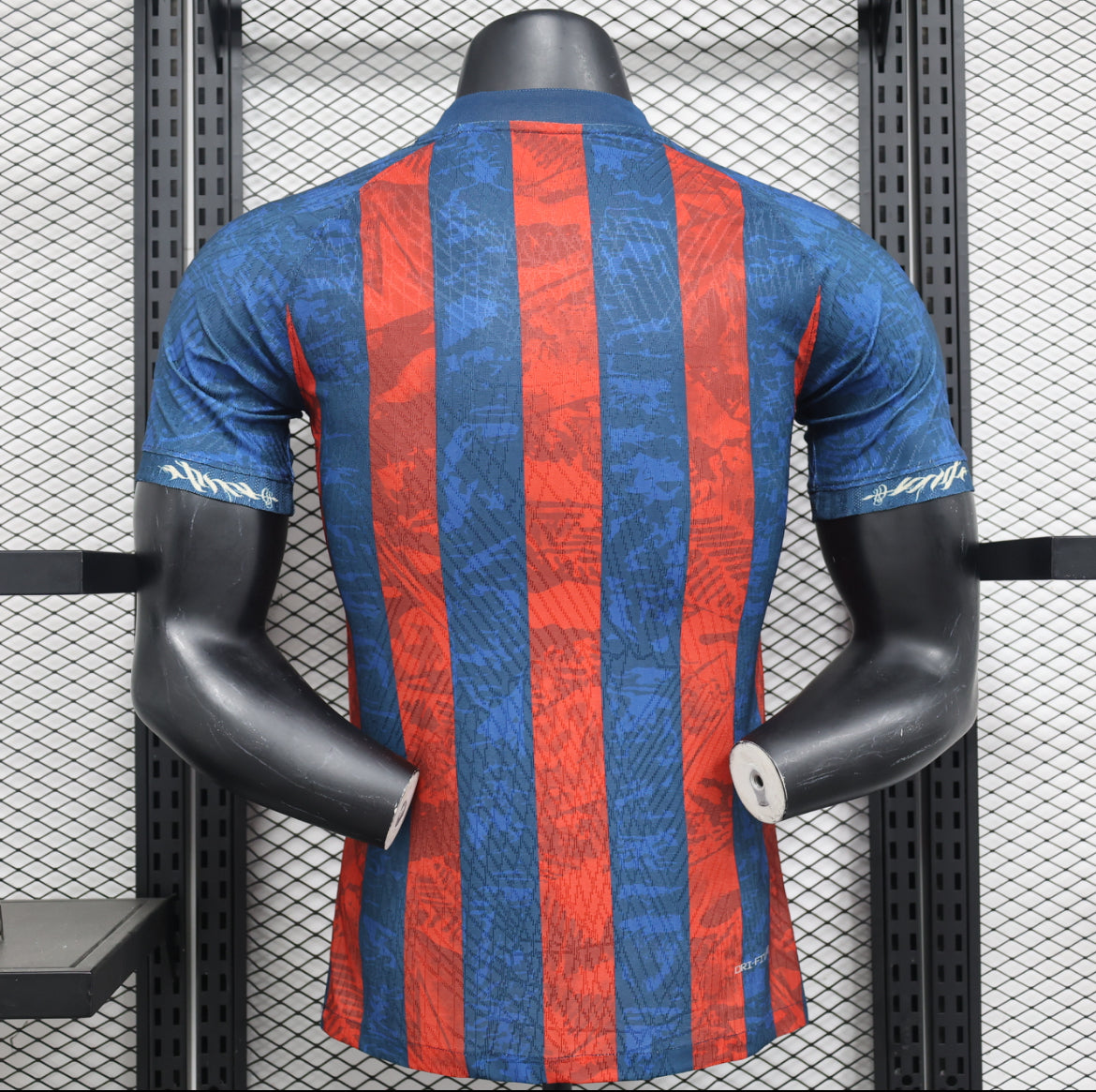 Maillot FC Barcelone special 24-25